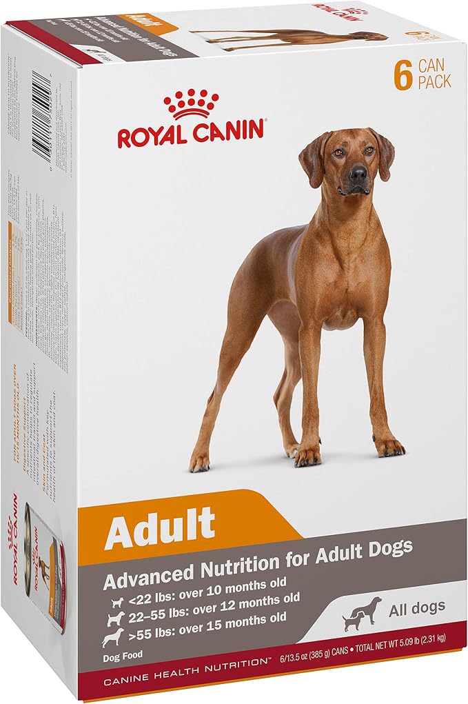 Royal Canin Canine Health Nutrition Adult In Gel Canned Dog Food, 13.5 oz can (6-pack)