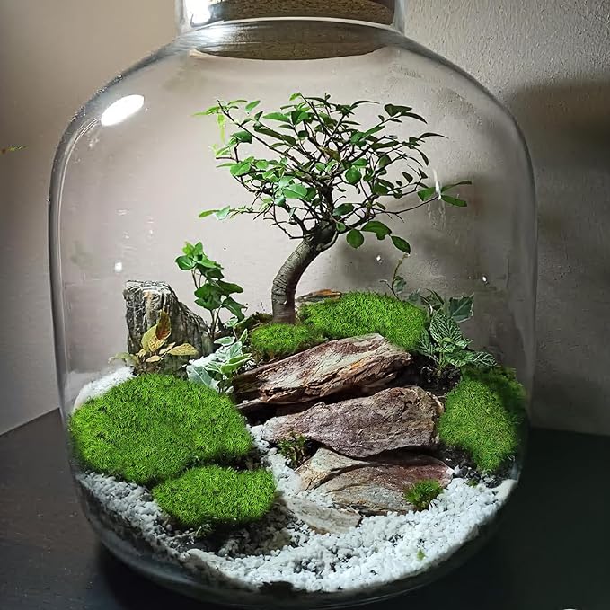 FAICOIA Preserved Pillow Moss Bulk Green Moss Balls for Bowls Natural Green Decorative 0.45 sq.ft Preserved Pole Moss Pillow for Wall Art Terrariums Crafts Fairy Gardens Pot Plants Easter Table Decor