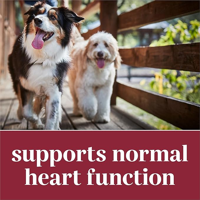 Dog Heart Supplements Heart Health Chewable Tablets with Taurine and Green-Lipped Mussels - 4.02 oz. Canister