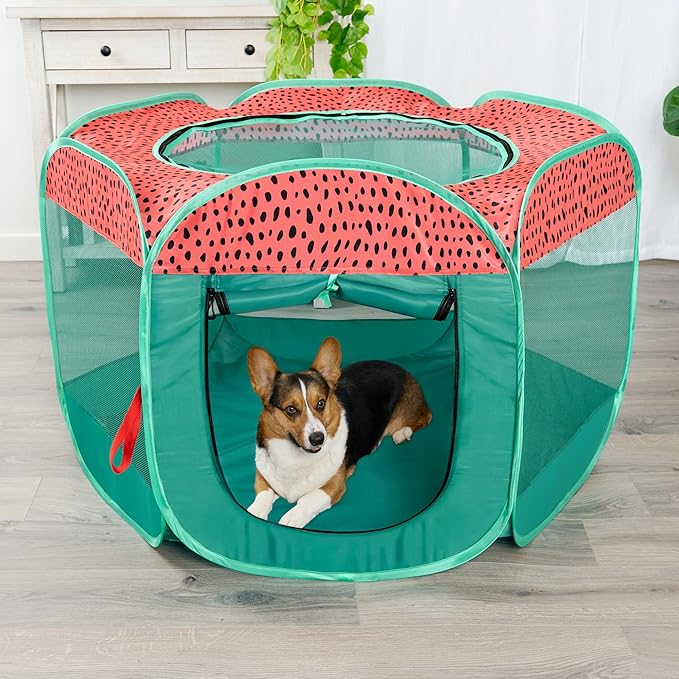 Furhaven Pop Up Playpen Pet Tent Playground - Green & Pink, Large
