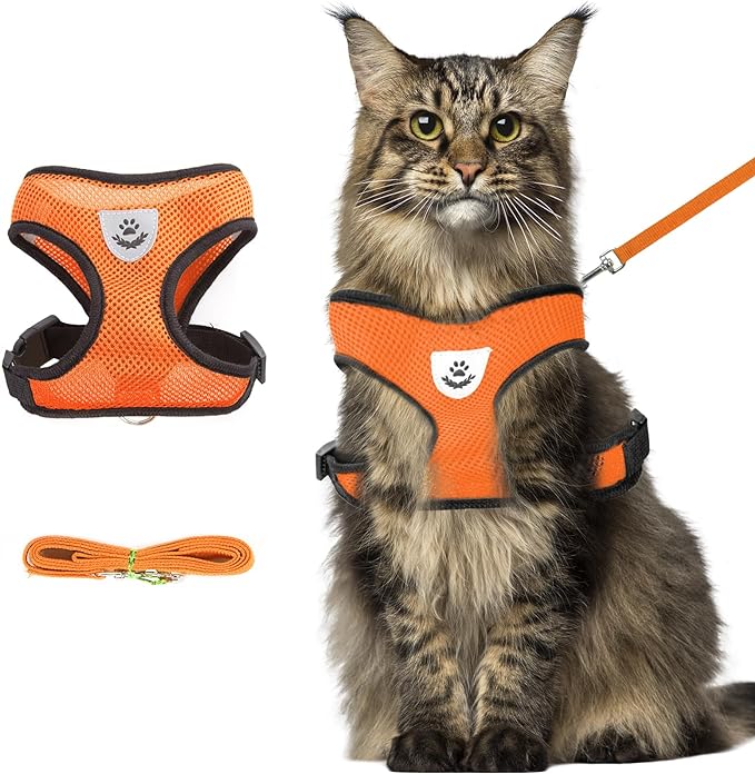 Summer cat Chest Harness and Leash, Anti-Escape Adjustable Soft mesh cat Leash and Chest Harness Set for All Types of Cats cat Vests (Size XL, Orange)