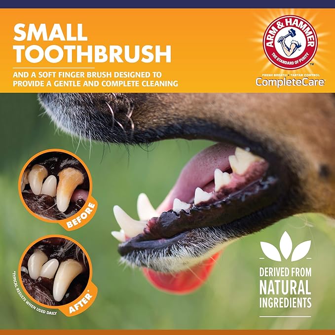 Arm & Hammer for Pets Complete Care Puppy Dental Kit | includes 2.5 oz Dog Toothpaste in Peanut Butter Flavor, Small Dog Toothbrush for Small Dogs and Puppies, and Microfiber Finger Brush