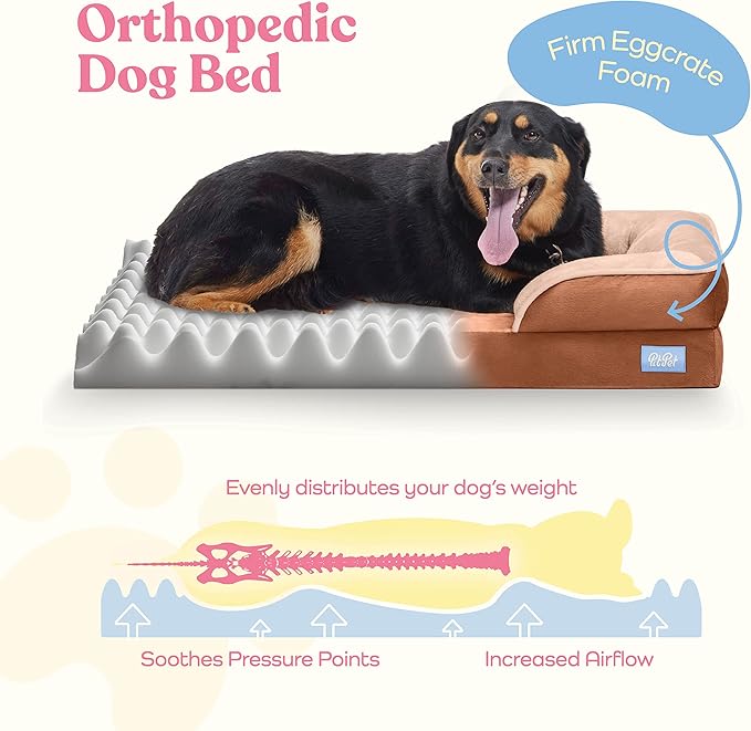 Pitpet Large Dog Bed - Orthopedic Foam, Plush Velvet, Waterproof, Easy Care, Dog-Friendly