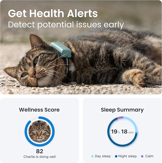 Tractive GPS Tracker & Health Monitoring for Cats (6.5 lbs+) - Market Leading Pet GPS Location Tracker | Wellness & Escape Alerts | Waterproof | Works with Any Collar (Mint)