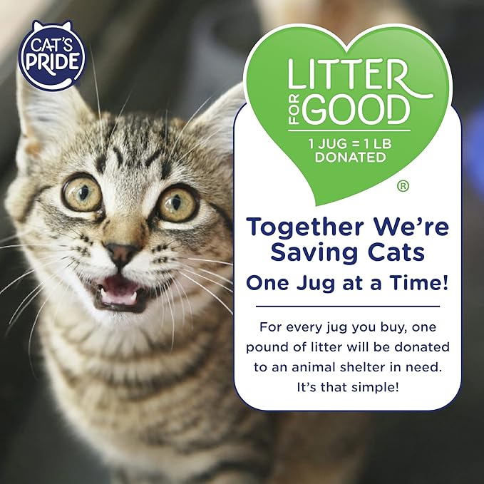 Cat's Pride Premium Lightweight Multi-Cat Clumping Litter 10 Pounds