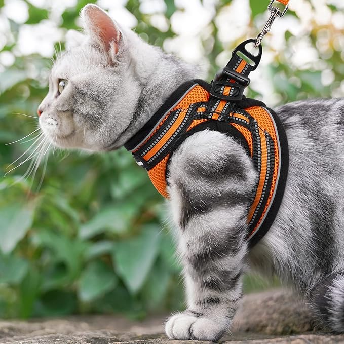 rabbitgoo Cat Harness and Leash Set for Walking Escape Proof, Adjustable Soft Kittens Vest with Reflective Strip for Cats, Comfortable Outdoor Vest,Light Orange,M