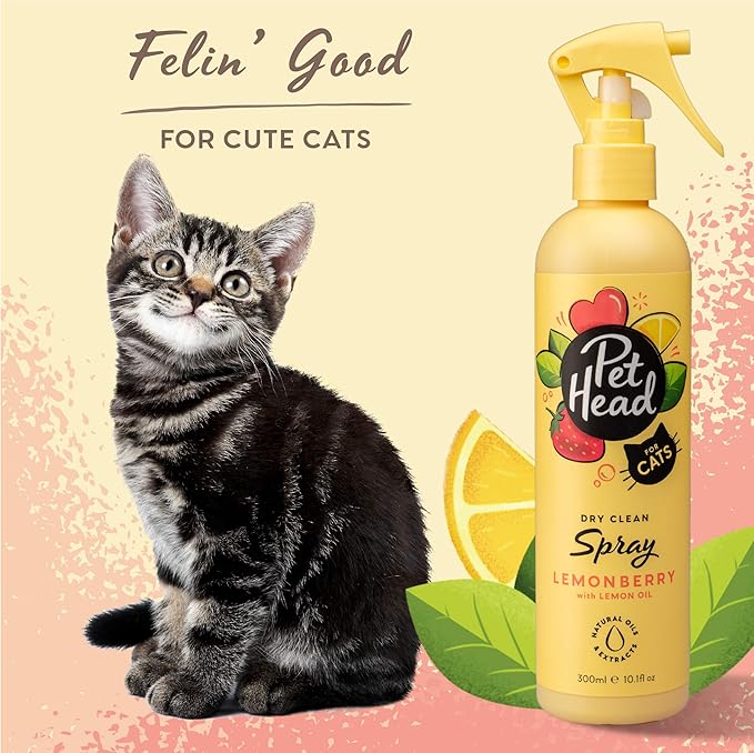 PET HEAD Felin Good' Grooming Spray for Cats 10.1 fl. oz. Fruity Scent. No-rinse and Quick-drying Cat Shampoo. Hypoallergenic with Natural & Vegan Ingredients. Gentle formula for Kittens. Made in USA