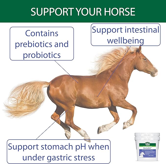 Equitec GastroBuf - Normal Stomach pH Support - Horse Supplement- Helps Support Protective Layer in The Bowel, Support Proper pH Under Occasional Gastric Distress, Contains Turmeric - 3.5 lb