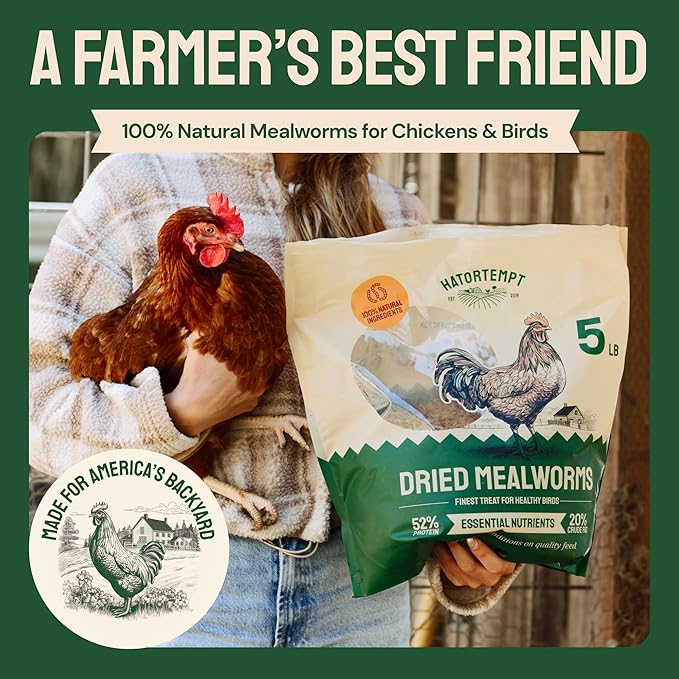 Bulk Dried Mealworms 10 lbs – Premium Organic Non-GMO Dried Mealworms for Chickens – High Protein Chicken Feed Meal Worms for Wild Birds & Chicken Treats for Laying Hens