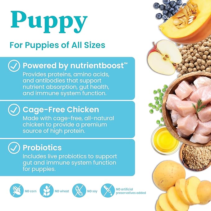 Solid Gold Dry Puppy Food w/Nutrientboost - Made with Real Chicken & Nutritious Superfoods - Love at First Bark Grain Free Puppy Dry Food for Healthy Growth, Energy and Gut Wellness - 3.75 LB Bag