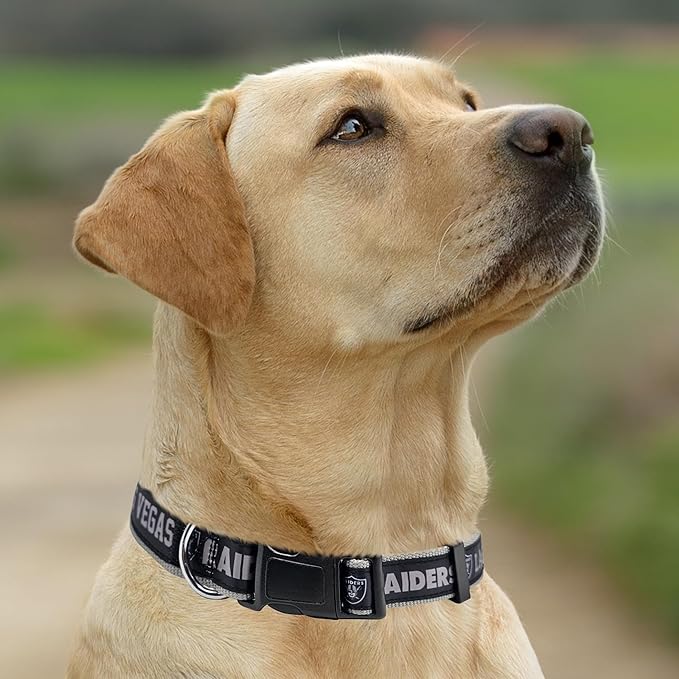 Pets First NFL Las Vegas Raiders Licensed PET COLLAR, Large - Heavy-Duty, Strong, and Durable Dog Collat. Available in 32 Football Teams