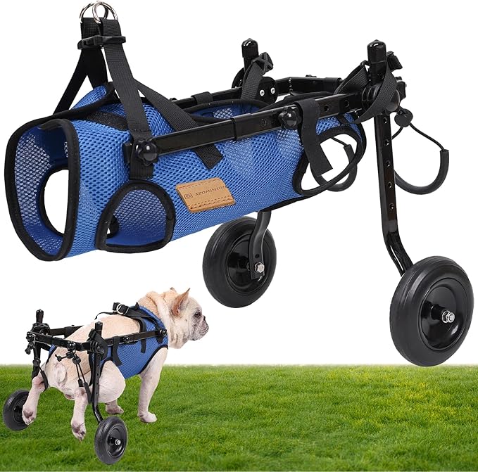 𝑼𝑷𝑮𝑹𝑨𝑫𝑬𝑫 Adjustable Dog Wheelchair, Lightweight Dog Scooter for Back Legs, Max 11 Pound Dogs, Wheelchair for paralyzed Injured Lame Disabled Handicapped Dogs -S