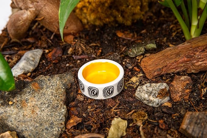 3 Pcs Micro Colorful Bowl, Trantuala Watering Cups, Tiny Bowl for Hermit Crab, Crested Gecko Food Bowl