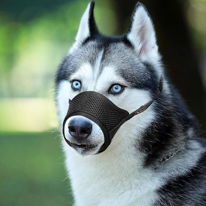 HEELE Dog Muzzle,Soft Nylon Muzzle Anti Biting Barking Chewing,Air Mesh Breathable Drinkable Adjustable Loop Pets Muzzle for Small Medium Large Dogs 4 Colors 4 Sizes (XXL, Black)