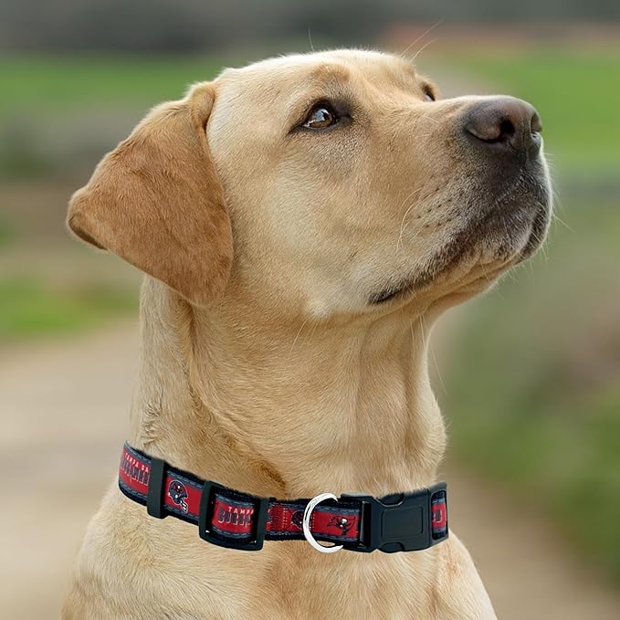 Pets First NFL Tampa Bay Buccaneers Licensed PET COLLAR, Small - Heavy-Duty, Strong, and Durable Dog Collat. Available in 32 Football Teams