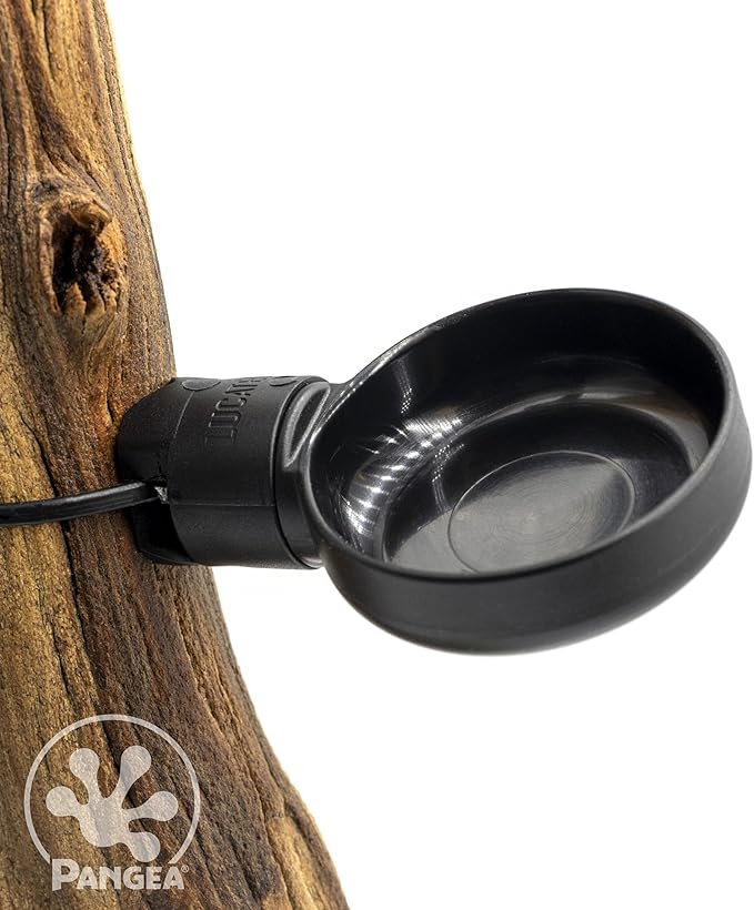 Pangea Microdish Branch & Surface Mount Kit for Gecko Feeding (L Branch Mount)