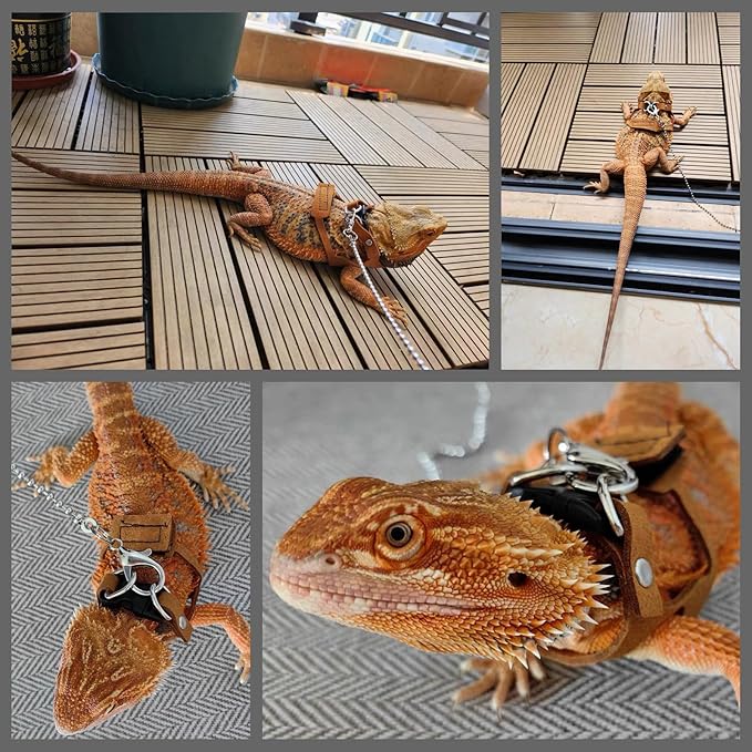 Bearded Dragon Harness and Leash Adjustable(M,L,XL) - Soft Leather Reptile Lizard Leash Accessories for Bearded Dragon, Lizard and Other Small Pets (2PC(L/XL))