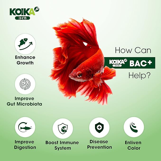 BAC+ Aquarium Probiotics, Immunity Boosting, Disease Resistance & Improve The Digestive System (BAC+,120ml)