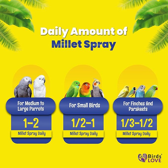 Birds LOVE Economy & Thin Special Spray Millet GMO-Free (No Stems Only Edible Tops) for Birds Cockatiel Lovebird Parakeet Finch Canary All Parrots Healthy Treat - 2lbs