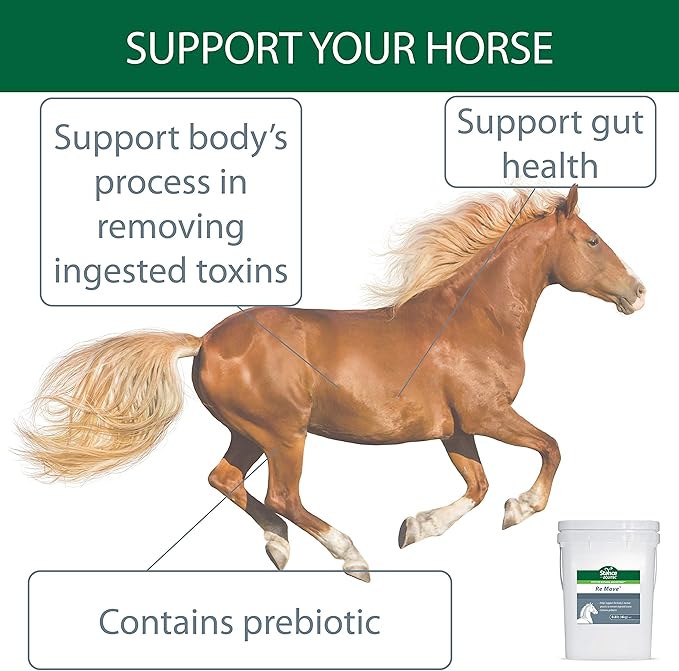 Equitec Re Move - Horse Supplements That Support The Body's Normal Process to Remove Ingested Toxins, Contains Probiotics - 8.8 lb