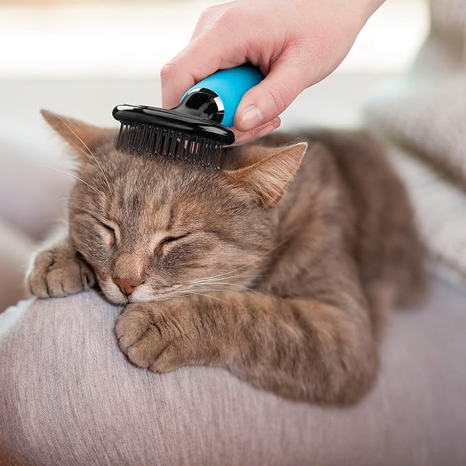 CONAIRPRO Dog & Cat Cat Soft Slicker Brush, Cat Brush for Shedding, Removes Tangles, Mats & Loose Hair, Soft Coated Pins for Gentle Brushing, Memory Gel Grip Handle,Blue