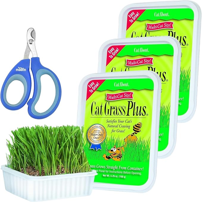 Cat Grass Plus Kit, 528 Oz Bundled With Pet Nail Clipper, Grow Lush Indoors, With Seeds Potting Mix, Promotes Digestion Prevents Hairballs - [Pack Of 3]