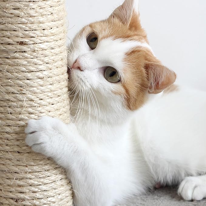 Cat Scratching Post with Carpeted Base - 27.75-Inch Sisal Burlap Fabric Scratcher - Furniture Scratching Deterrent for Indoor Cats by PETMAKER (Beige)