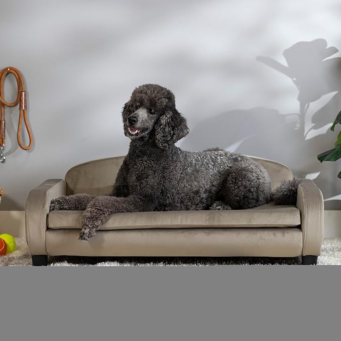 Paws & Purrs Modern Pet Sofa 41.5" Wide for Large Dog with Removable/Washable Mattress Cover