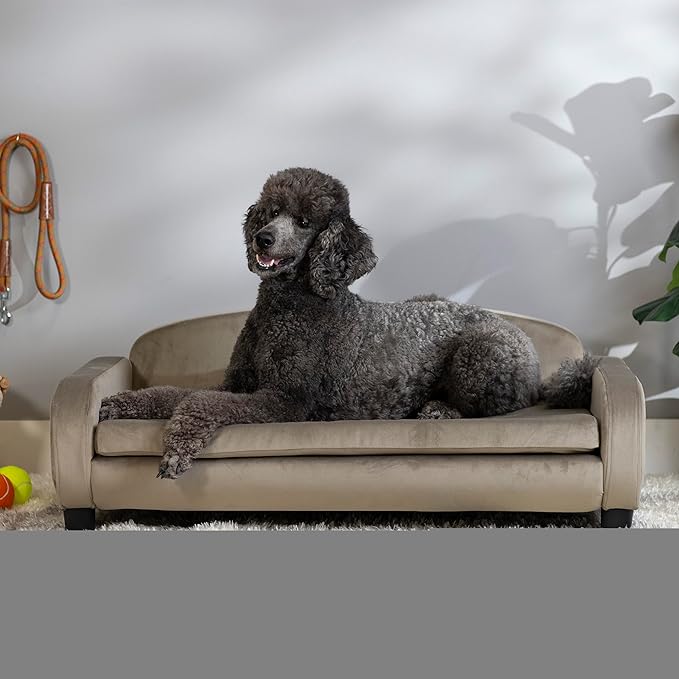 Paws & Purrs Modern Pet Sofa 41.5" Wide for Large Dog with Removable/Washable Mattress Cover