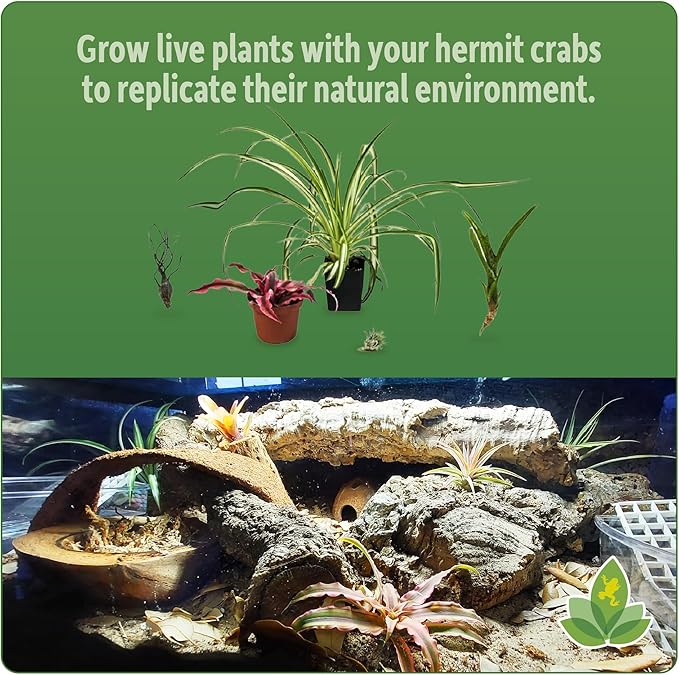 Josh's Frogs Hermit Crab BioBedding Bioactive Substrate (4 Quart (Sand Included))