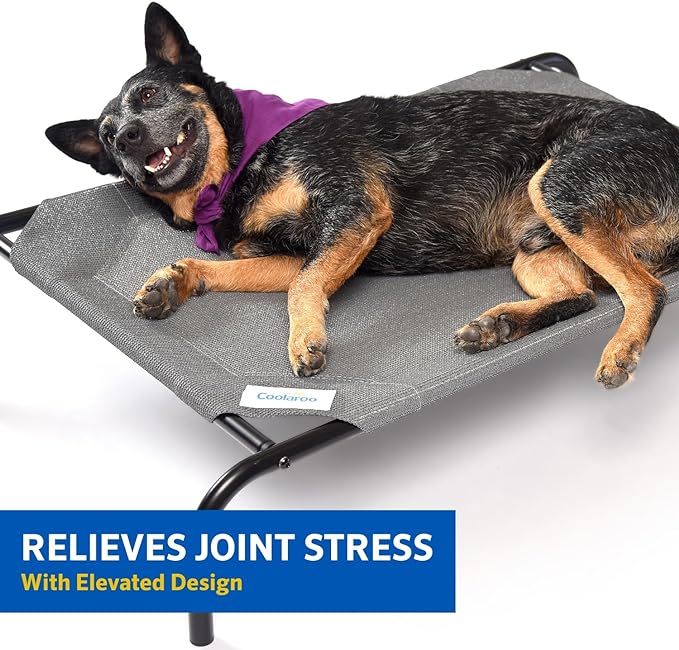 COOLAROO The Original Cooling Elevated Dog Bed, Indoor and Outdoor, Small, Terracotta