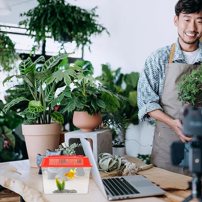 Baluue Portable Fish Tank, Handheld Fish Tank, Plastic Mini Fish Box, Transparent Cutout Design, Plastic Aquarium with Handle for Turtle and Pet Fish ((Red- Lid for Random))