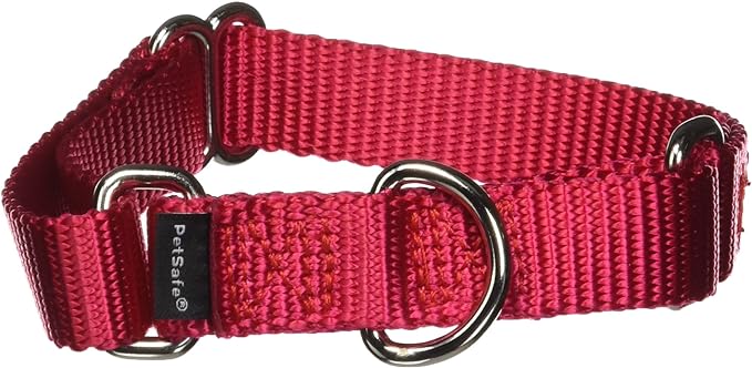 PetSafe Adjustable Martingale Collar - Only Tightens When Dogs Pull, Prevents Slipping Out - Helps with Strong Pullers, Increased Control - Alternative to Choke Collar - 3/4", Small, Red