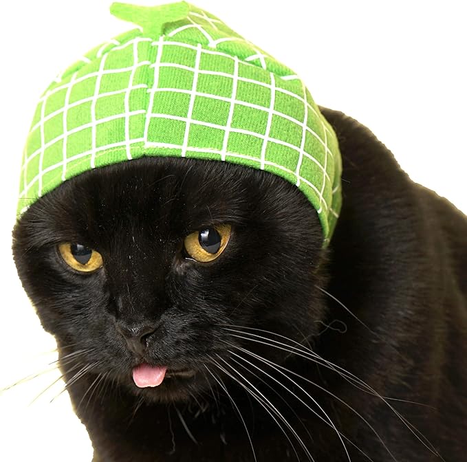 Kitan Club Cat Cap - Pet Hat Blind Box includes 1 of 6 Cute Styles - Soft, Comfortable - Authentic Japanese Kawaii Design - Animal-Safe Materials, Premium Quality (Fruit)