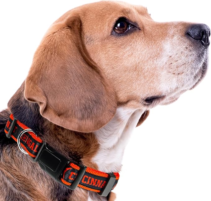 NFL PET Collar Cincinnati Bengals Dog Collar, Medium Football Team Collar for Dogs & Cats. A Shiny & Colorful Cat Collar & Dog Collar Licensed by The NFL