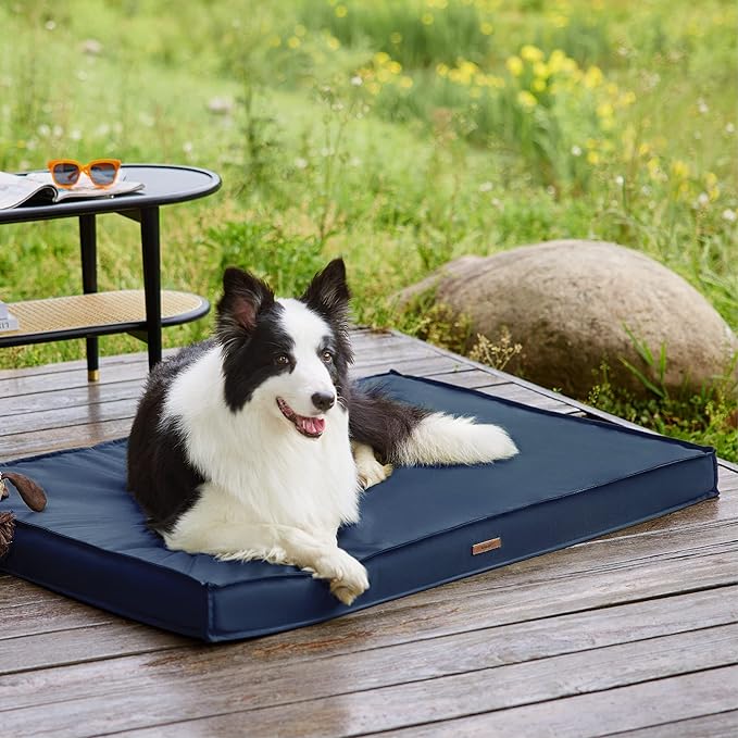 Lesure Waterproof Dog Bed for Large Dogs - Outdoor Dog Bed with Oxford Fabric Surface, Large Egg Orthopedic Foam Pet Bed with Removable and Durable Cover, Machine Washable, Navy