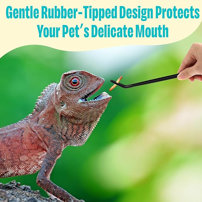 3 Pcs Stainless Steel Reptile Feeding Tool Set with 2 Rubber Tipped Tongs and 1 Crested Gecko Feeding Spoon, Crested Gecko Tank Accessories for Geckos, Lizards, Bearded Dragons,Black