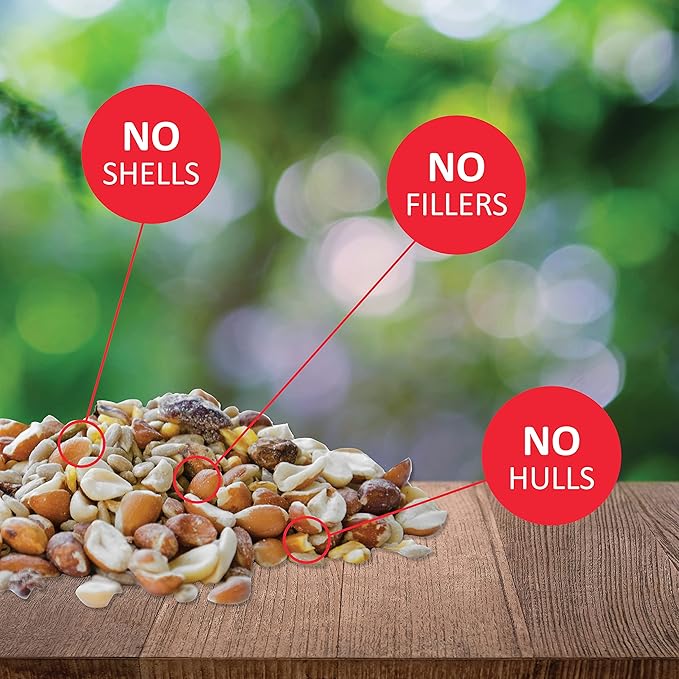 Lyric Woodpecker Wild Bird Seed - No Waste Bird Seed with Nuts, Dried Fruit & Shelled Seeds - 20 lb bag