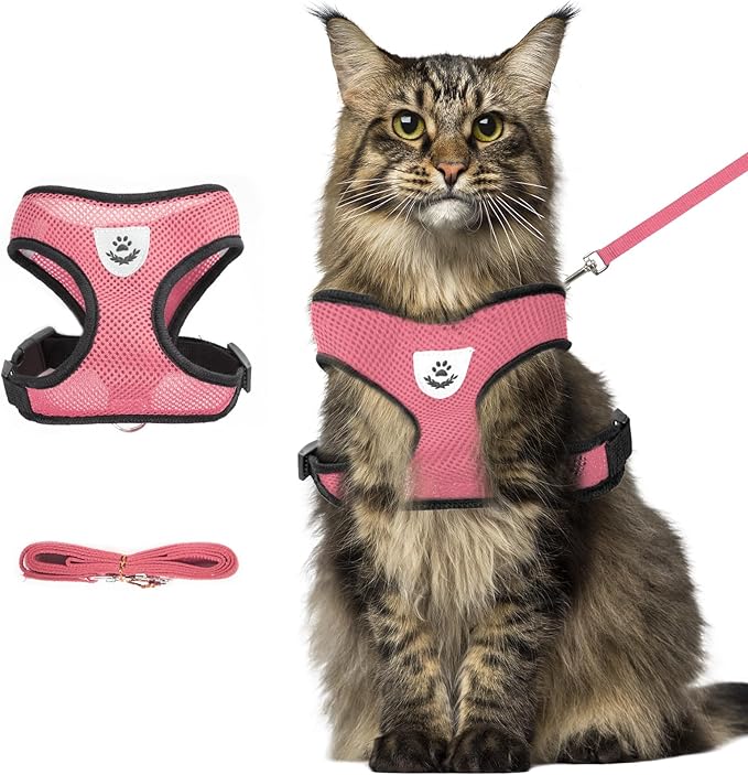 Summer cat Chest Harness and Leash, Anti-Escape Adjustable Soft mesh cat Leash and Chest Harness Set for All Types of Cats cat Vests (Size XL,Pink)