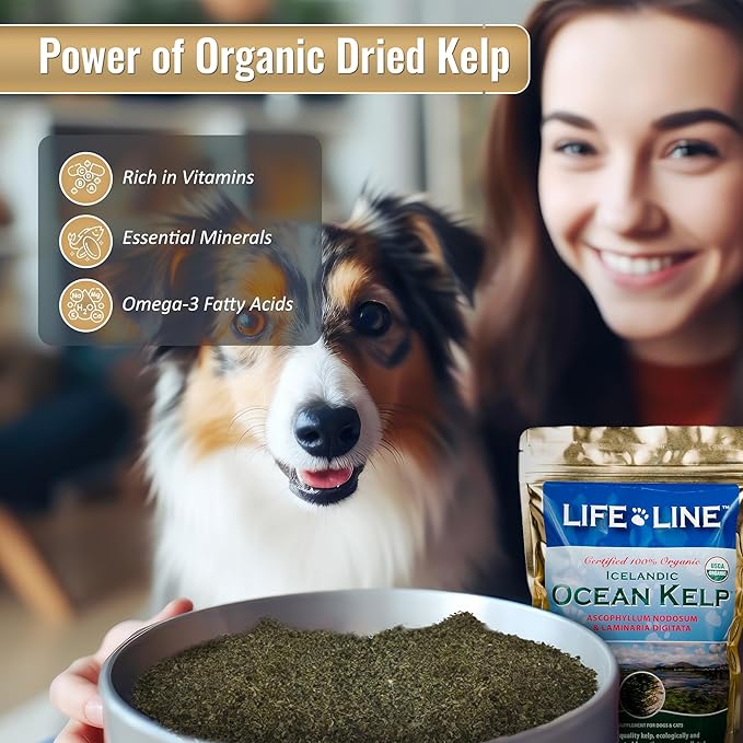 Life Line Pet Nutrition Organic Ocean Kelp Supplement for Skin & Coat, Digestion in Dogs & Cats, 8oz (20200)