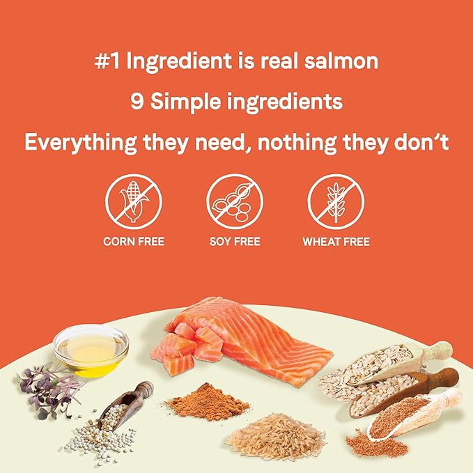 CANIDAE Pure PUPPY Real Salmon & Oatmeal Recipe Dry Dog 4 LB