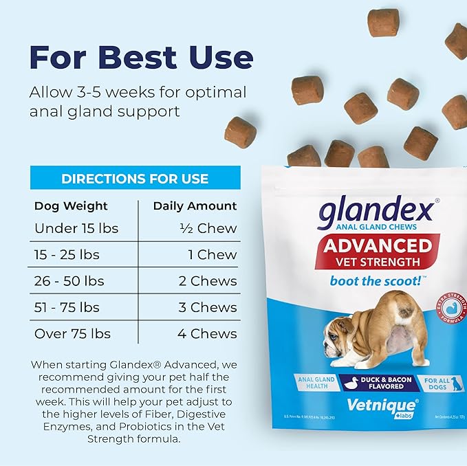 Glandex Anal Gland Soft Chew Treats with Pumpkin for Dogs Digestive Enzymes, Probiotics Fiber Supplement for Dogs Boot The Scoot (Advanced Strength Duck/Bacon Chews (Vegetarian), 30ct)