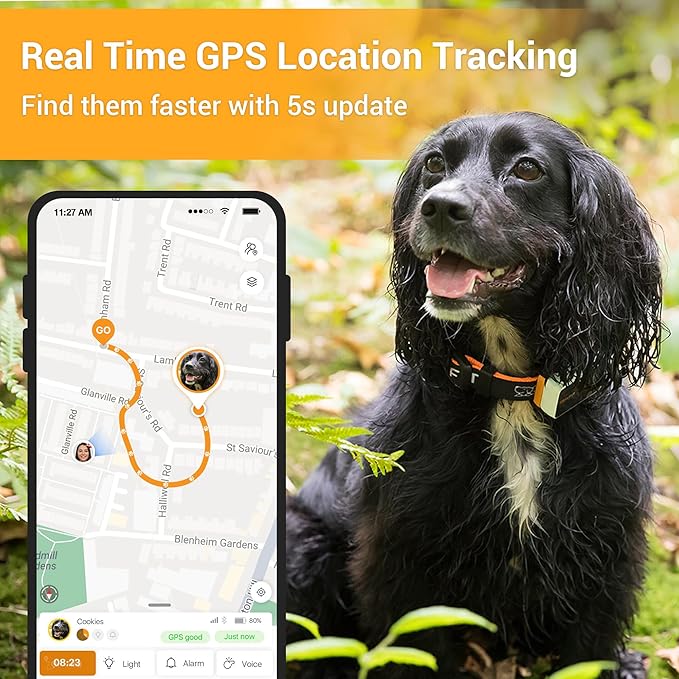 3 GPS Pet Location and Activity Tracker for Dogs |Smart and Affordable Safety and Health Solution| Live Location Tracking| Unlimited Range| Escape alerts | Remote Voice Recall|100% Waterproof