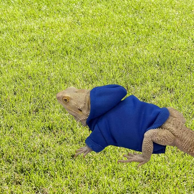 Bearded Dragons Hoodie - Handmade Adjustable Cotton Sweater Reptile Jacket Shirt for Skin Protection Small Animal Costume Apparel for Lizard Bearded Dragon Crested Gecko Chameleon (L, Blue)