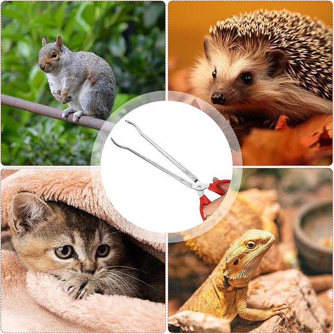 Reptile Feeding Tongs, 15 Inch Snake Feeding Tongs Anti-Skid Easy-Grip Extra Long Tweezers for Terrarium Corn Ball Python Accessories Axolotl Bearded Dragon Feeding Supplies