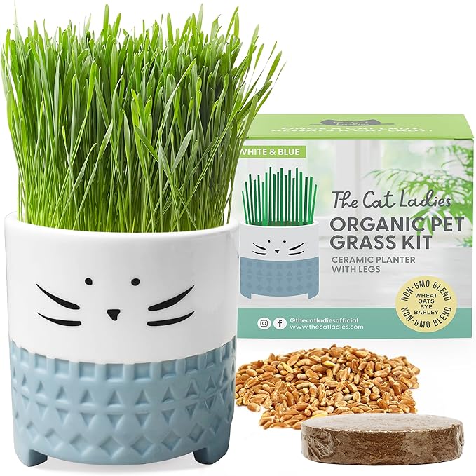 The Cat Ladies Cat Grass for Indoor Cats, Cat Grass Growing Kit with Organic Cat Grass Seed Mix, Soil and Ceramic Cat Planter, Pet Grass for Cats, Natural Hairball Remedy, Cat Gifts