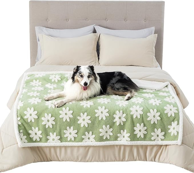 Lesure Waterproof Dog Blanket for Large Dogs - Washable Double Sided Dog Blankets with Warm Jacquard Shag and Soft Sherpa Fleece, Pet Cat blanket for Bed Couch Protection, 3D Textured Cloud, Green