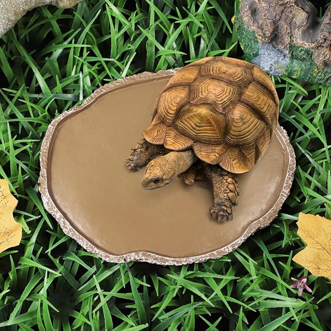 Reptile Bowl Resin Reptile Feeding Dish : Reptile Feeding Plate Reptile Food and Water Bowl - Reptile Food Bowl Terrarium Bowls for Lizard Gecko Bearded Dragon