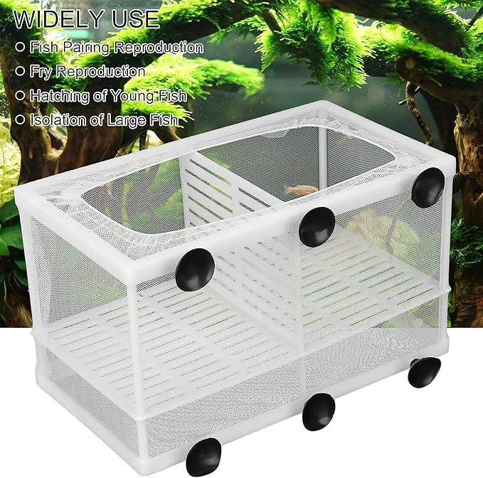 Aquarium Fish Breeder Box Isolation Box Breeder Hatchery Incubator with Suction Cup Large with dividers