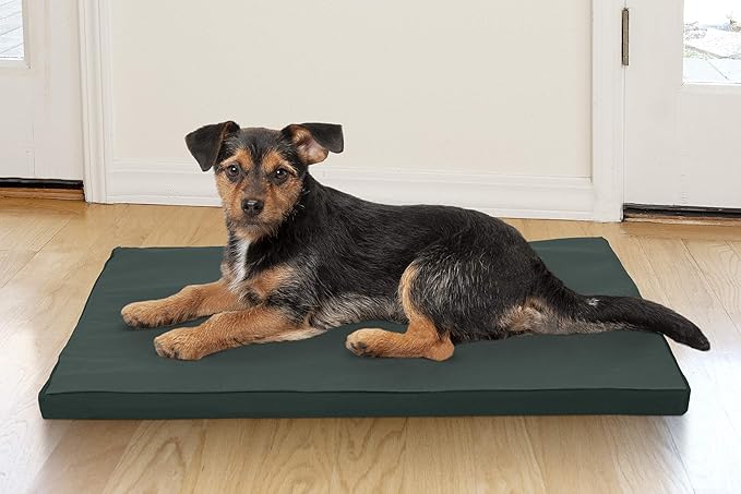 Furhaven Water-Resistant Dog Bed for Small Dogs w/ Removable Washable Cover, Perfect for Crates & Kennels, For Dogs Up to 25 lbs - Two-Tone Reversible Crate Pad - Green/Gray, Small